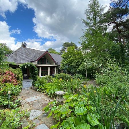 Sjieke Gezellige Villa In Het Bos Lieshout Zewnętrze zdjęcie