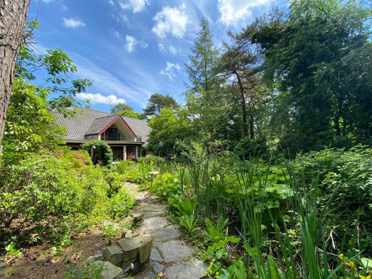 Sjieke Gezellige Villa In Het Bos Lieshout Zewnętrze zdjęcie