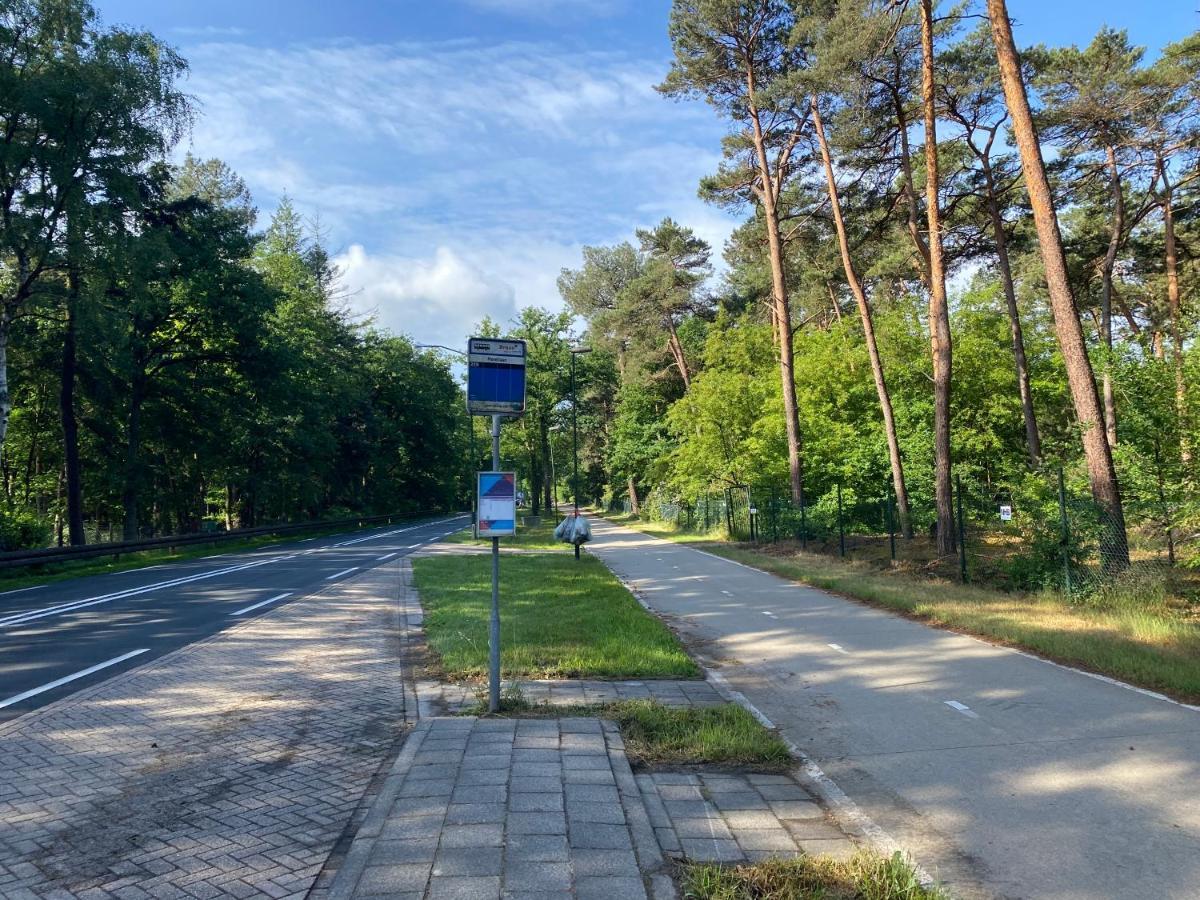 Sjieke Gezellige Villa In Het Bos Lieshout Zewnętrze zdjęcie