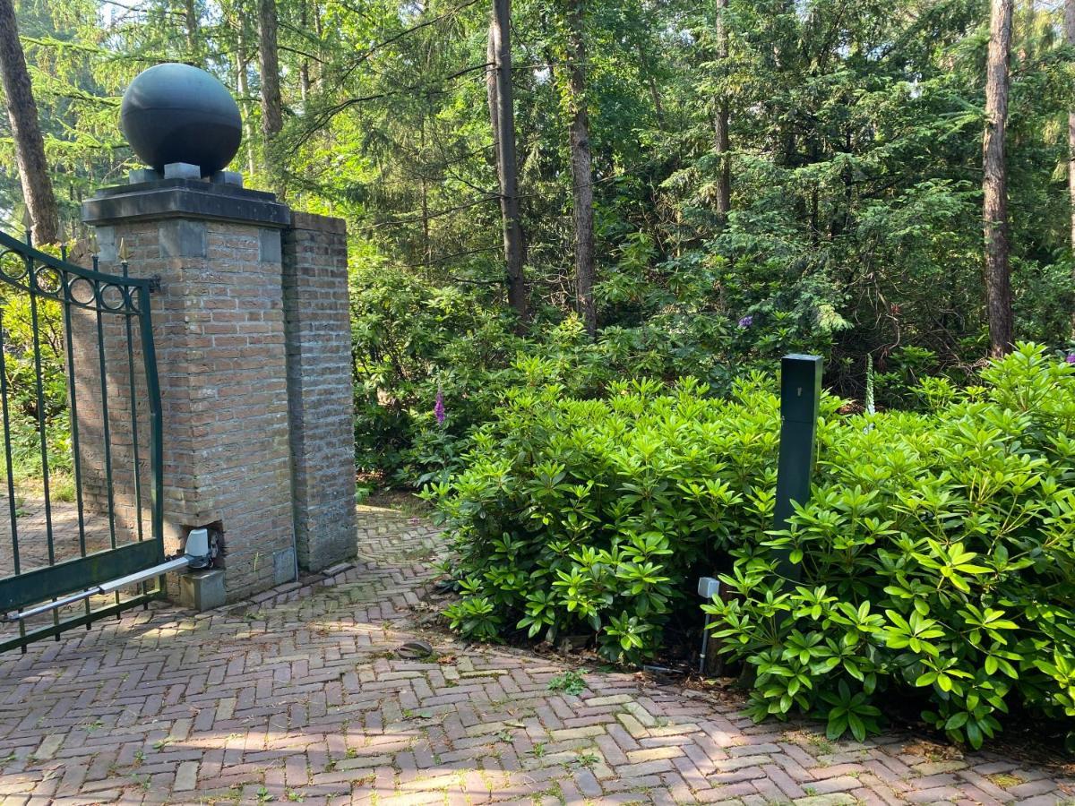 Sjieke Gezellige Villa In Het Bos Lieshout Zewnętrze zdjęcie