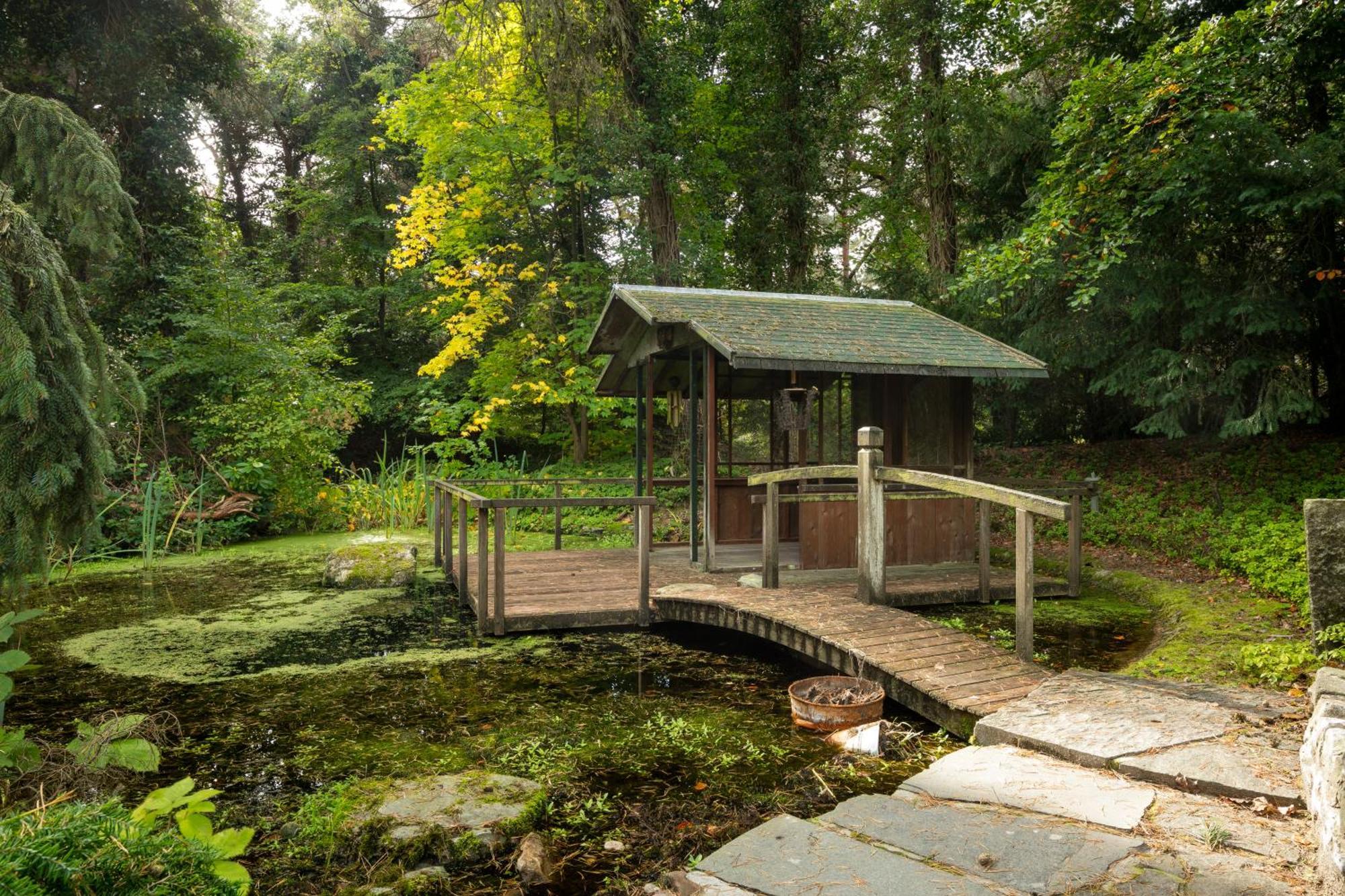 Sjieke Gezellige Villa In Het Bos Lieshout Zewnętrze zdjęcie